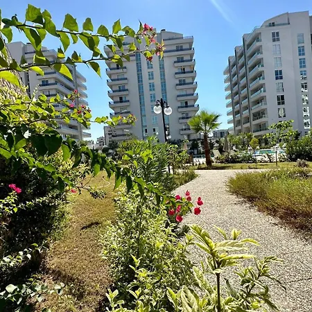 Arcadia Homes * アランヤ